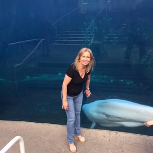 Meet your Posher, Joyce